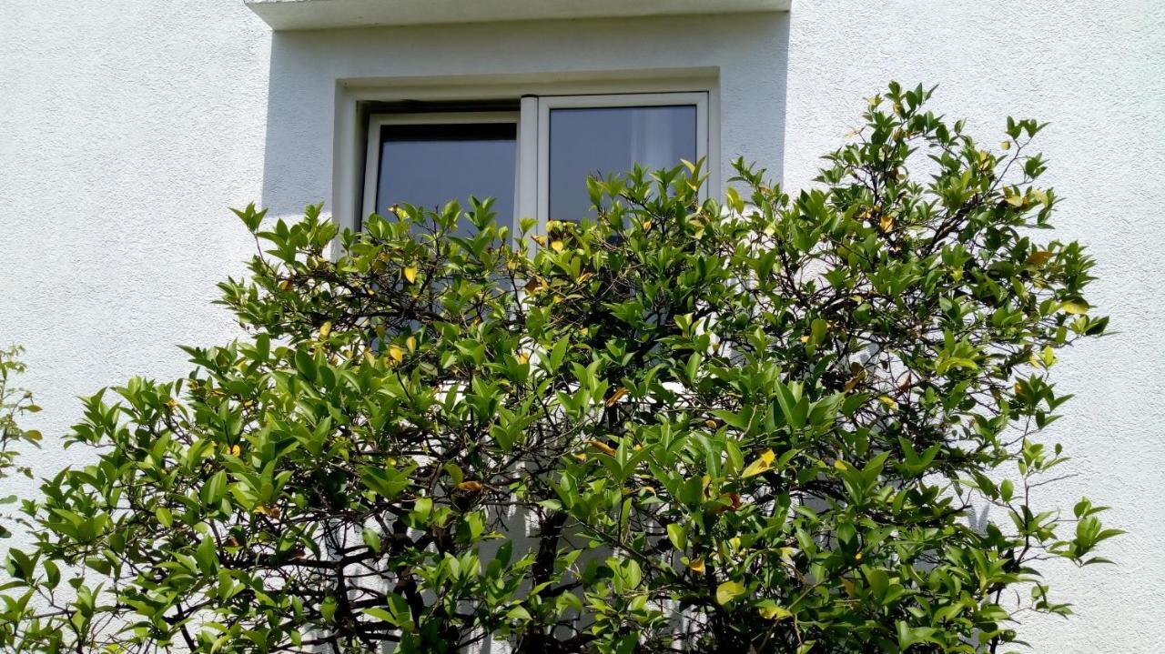 Tea Apartment Kotor Exterior photo
