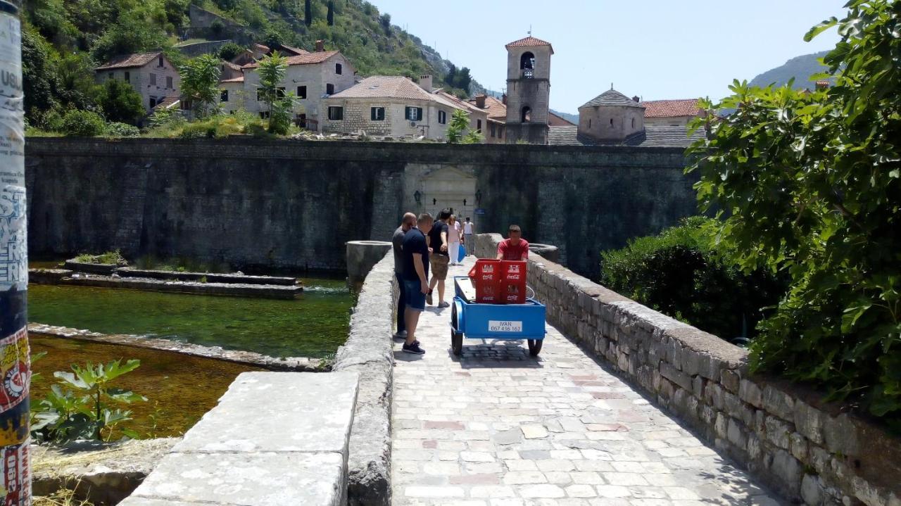 Tea Apartment Kotor Exterior photo